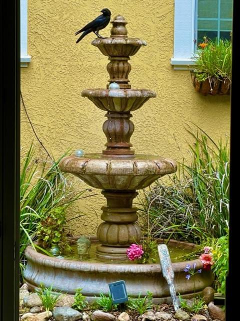 Glen Ellen Inn Secret Cottages Eksteriør billede